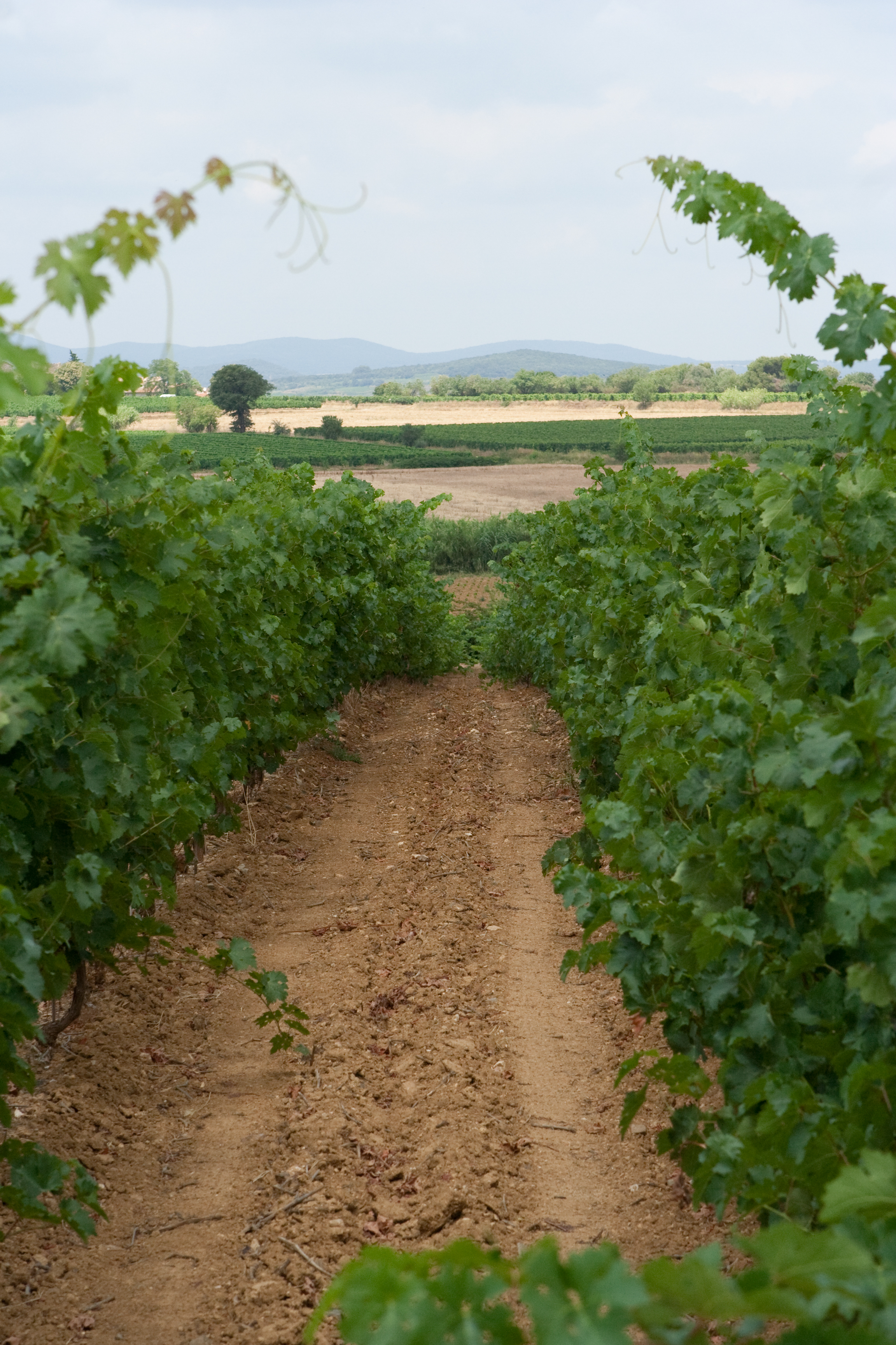 vakantie 2009 ontdekkingsreis-001.jpg